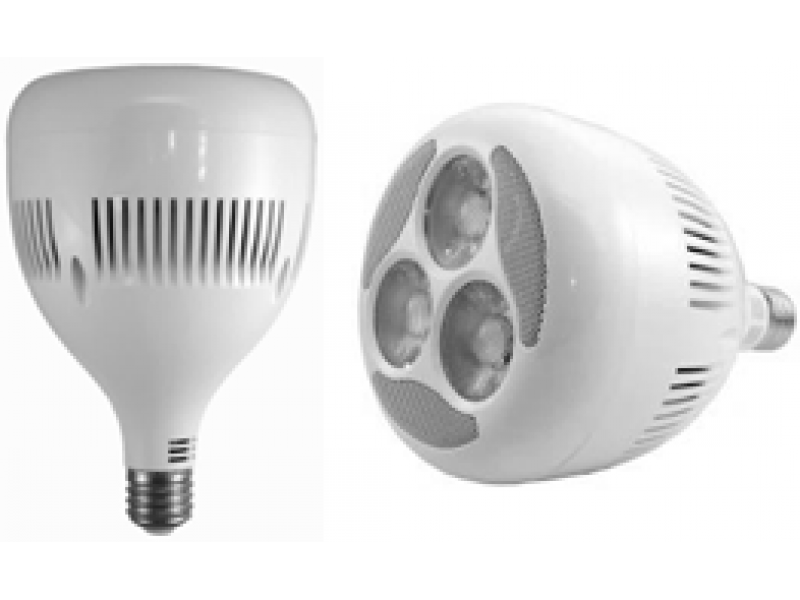 LED PAR56 (100W)